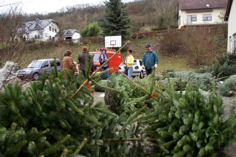 Weihnachtsbaumverkauf 2008 Bild Nr.023